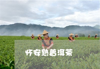 怀安熟普洱茶/2023042793316