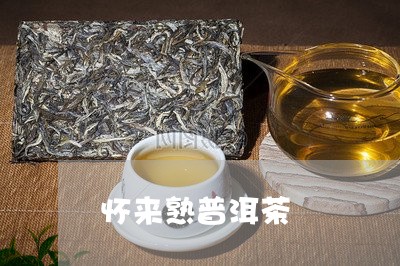 怀来熟普洱茶/2023042832836