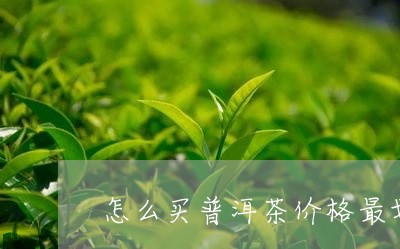 怎么买普洱茶价格最划算/2023082965948