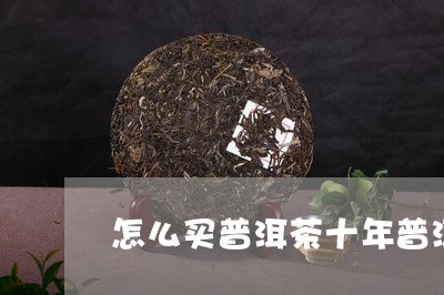 怎么买普洱茶十年普洱茶价格/2023052759381