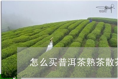 怎么买普洱茶熟茶散茶/2023062844919