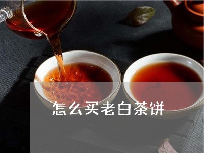 怎么买老白茶饼/2023111569582