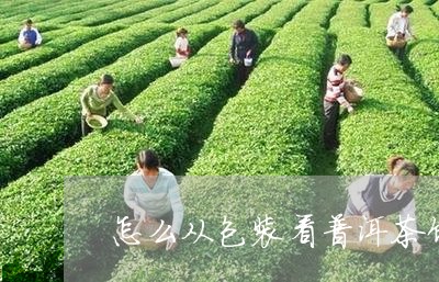 怎么从包装看普洱茶饼好不好/2023052997078