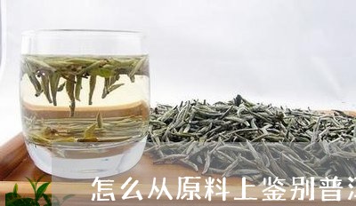 怎么从原料上鉴别普洱茶好坏/2023110291595