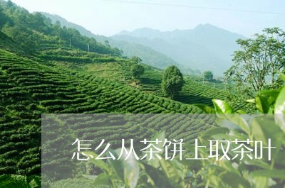 怎么从茶饼上取茶叶/2023042508403