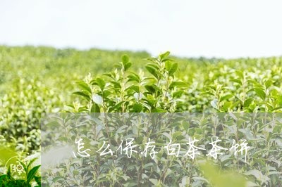 怎么保存白茶茶饼/2023062017161