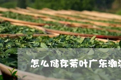 怎么储存茶叶广东潮湿怎么储存茶叶/2023060406160