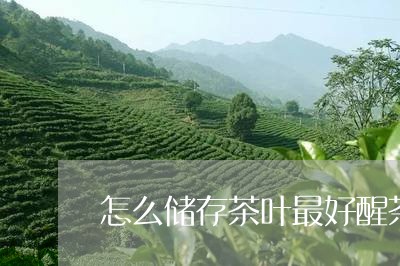 怎么储存茶叶最好醒茶一般多久/2023053196183