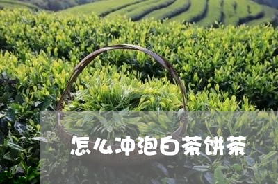 怎么冲泡白茶饼茶/2023111548505