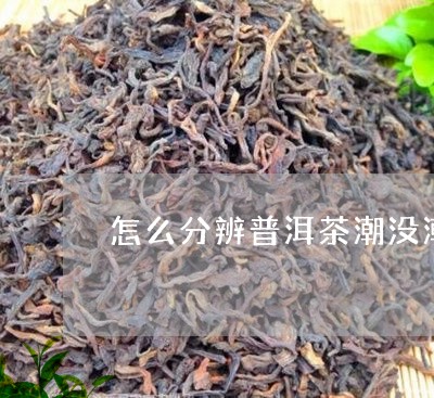 怎么分辨普洱茶潮没潮/2023062272829