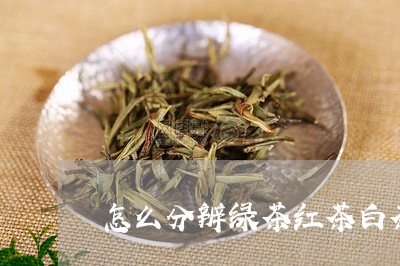 怎么分辨绿茶红茶白茶/2023100187158