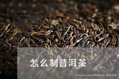 怎么制普洱茶/2023042715083