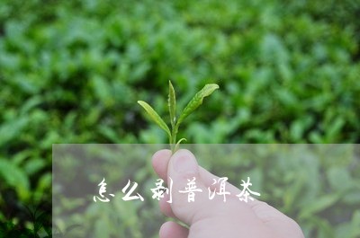 怎么剥普洱茶/2023042698841