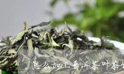 怎么加工普洱茶叶茶饼子/2023112850604