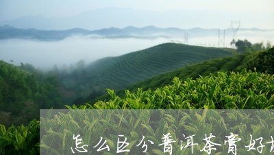 怎么区分普洱茶膏好坏/2023080136049