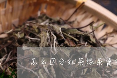 怎么区分红茶绿茶普洱茶/2023082936371