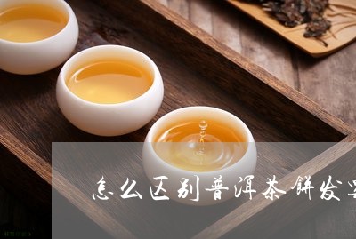 怎么区别普洱茶饼发霉/2023100524029