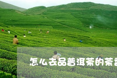 怎么去品普洱茶的茶香味儿/2023112548473