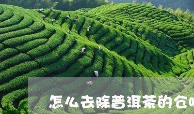 怎么去除普洱茶的仓味/2023062215049