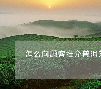 怎么向顾客推介普洱茶/2023062574727