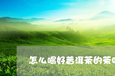 怎么喝好普洱茶的茶叶水/2023082794758