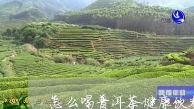 怎么喝普洱茶健康饮料/2023082941695