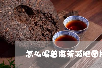 怎么喝普洱茶减肥图片/2023062430716