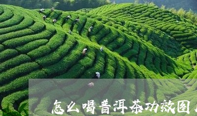 怎么喝普洱茶功效图片/2023100852836