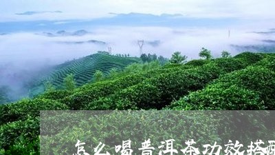 怎么喝普洱茶功效搭配/2023062414261