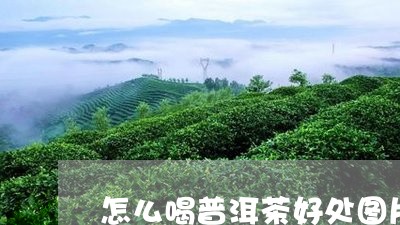 怎么喝普洱茶好处图片/2023100514840