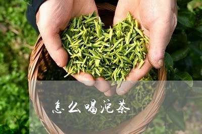 怎么喝沱茶/2023090210604