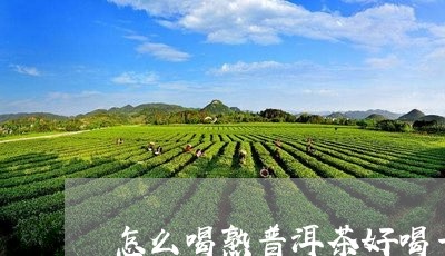 怎么喝熟普洱茶好喝一点/2023082505479