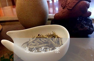 怎么喝红茶/2023090279503