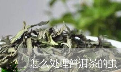 怎么处理普洱茶的虫毛/2023121635835