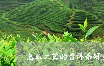 怎么工艺的普洱茶好卖点/2023110605040