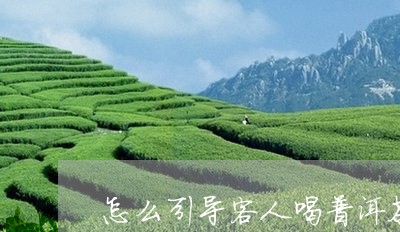 怎么引导客人喝普洱茶/2023100715068