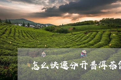 怎么快速分开普洱茶饼的茶底/2023082968304