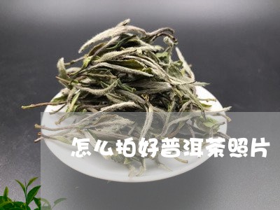 怎么拍好普洱茶照片/2023091309625