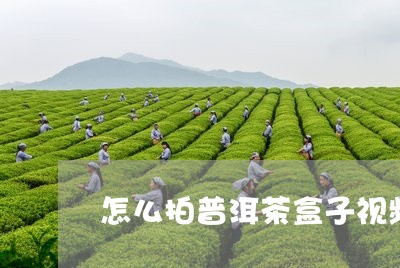 怎么拍普洱茶盒子视频/2023082999482