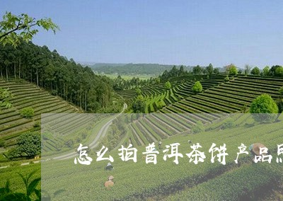 怎么拍普洱茶饼产品照/2023062005371