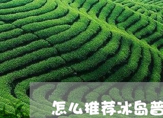 怎么推荐冰岛普洱茶饼卖/2023082773171