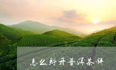 怎么掰开普洱茶饼/2023120484927