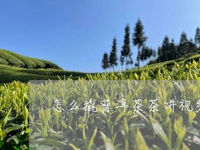 怎么撬普洱茶茶饼视频老白茶怎么拆/2023060372825