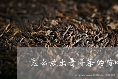 怎么放出普洱茶的陈味/2023061977361