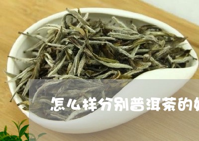 怎么样分别普洱茶的好坏/2023082414914