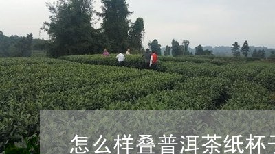 怎么样叠普洱茶纸杯子最方便/2023082949393