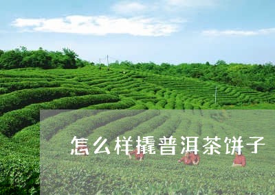 怎么样撬普洱茶饼子/2023120513826