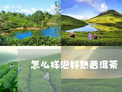 怎么样泡好熟普洱茶/2023110629481