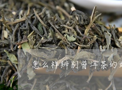 怎么样辨别普洱茶的好坏和坏/2023052984168