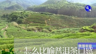 怎么比喻普洱茶口感/2023091375030